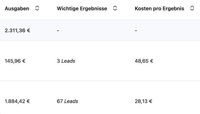 LinkedIn campaign results: 67 leads at €28.13
